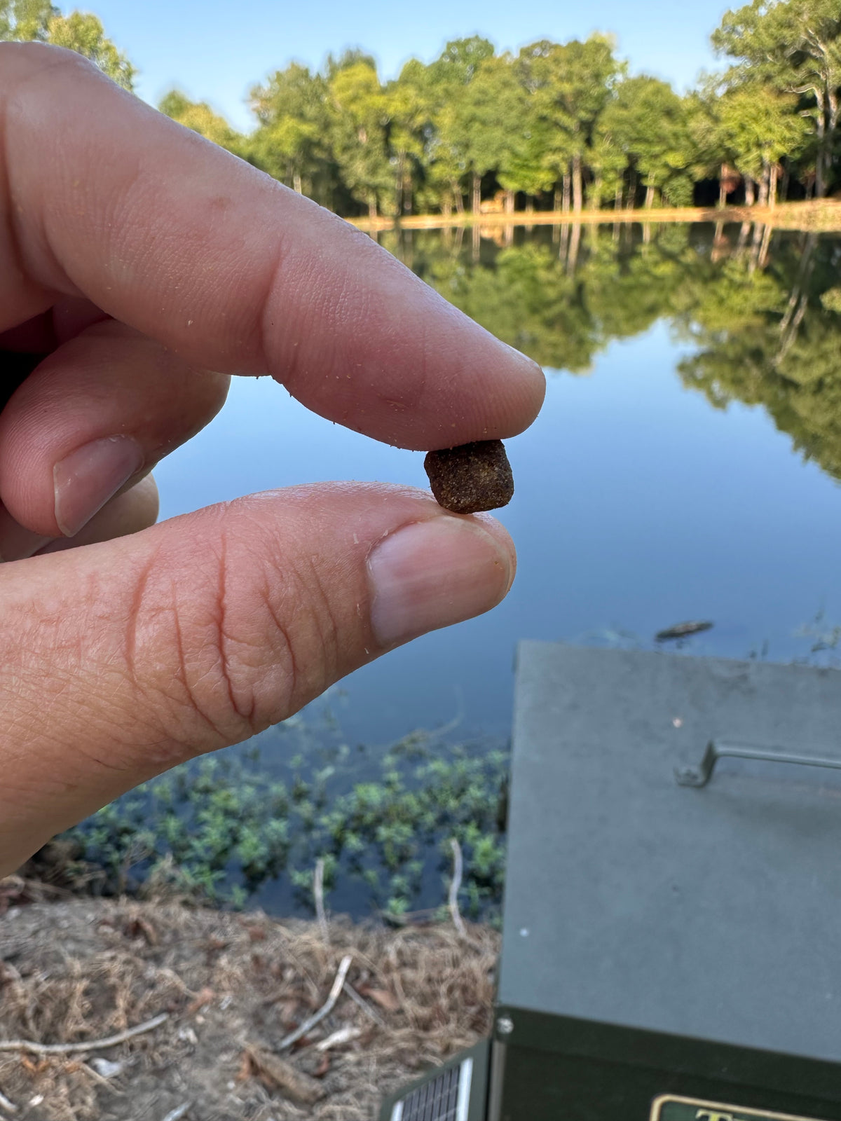 A close-up of a hand holding a small brown fishing bait or pellet in front of a lake with trees and a green box in the background.